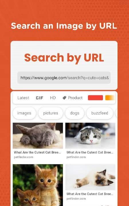 Reverse Image Search - Search by Image screenshot 2