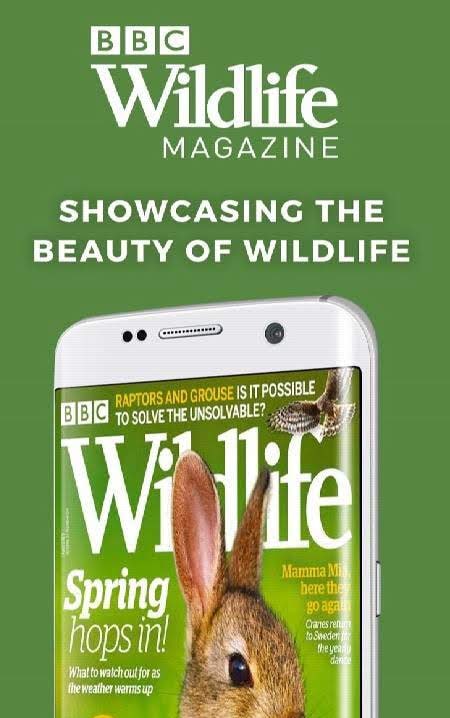 BBC Wildlife Magazine - Animal News, Facts screenshot 2