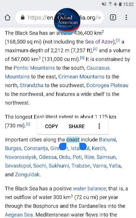 New Oxford American Dictionary Screenshot 4
