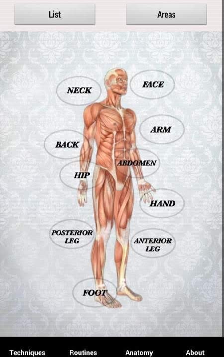 Massage Techniques screenshot 3