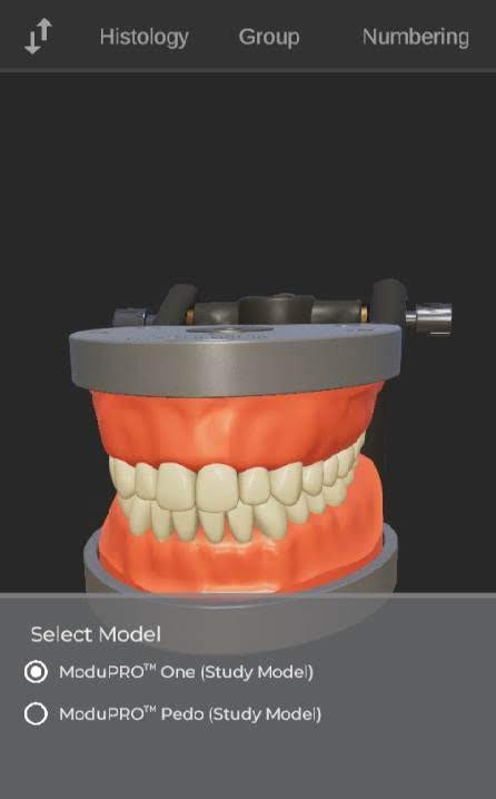 ToothView™ screenshot 3