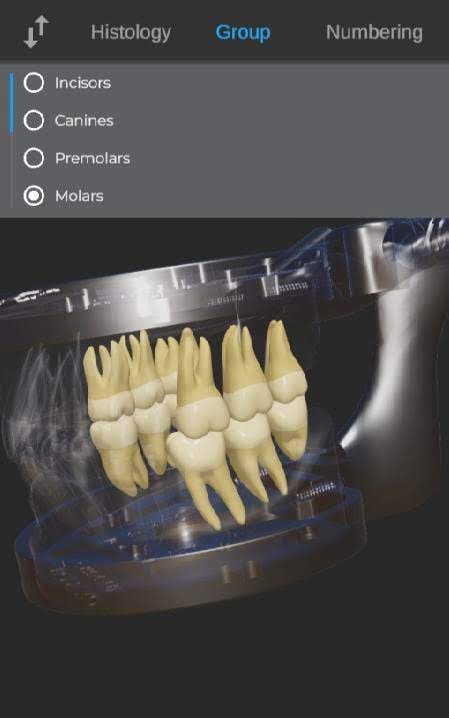 ToothView™ screenshot 1