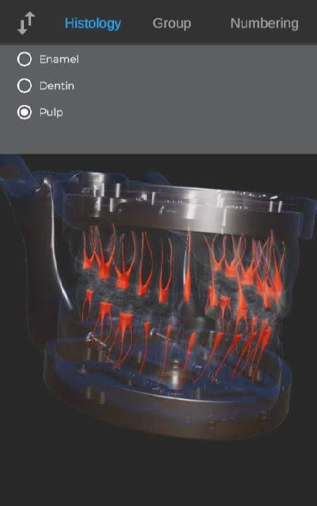 ToothView™ screenshot 2