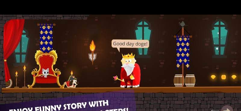 Doge and the Lost Kitten - 2D Platform Game gameplay screenshot 2