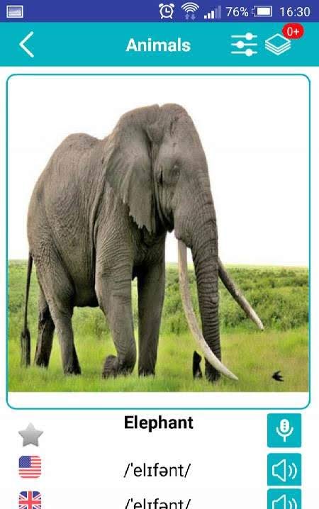English Animals Vocabulary screenshot 3