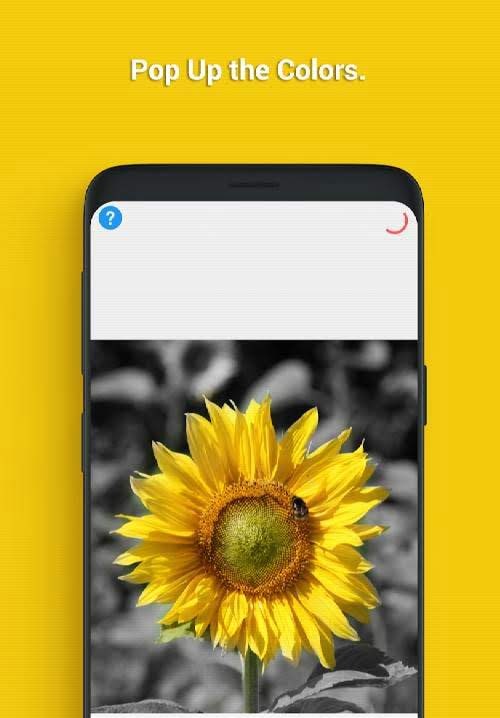 Snap Image Editor screenshot 1