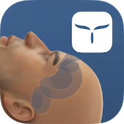 Neurosimulator Vol.I