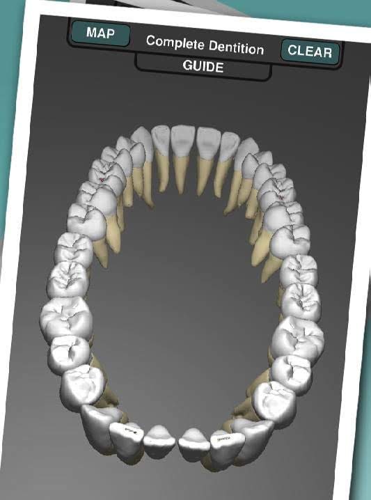 Real Tooth Morphology screenshot 1