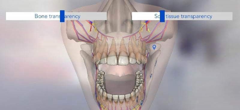 Dental Simulator screenshot 3