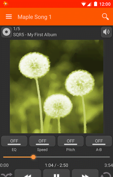 Maple Player JB screenshot 1