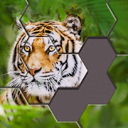 Hexa Jigsaw Puzzle