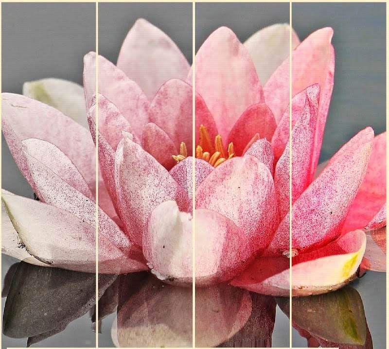 Impress - photo editor screenshot 3