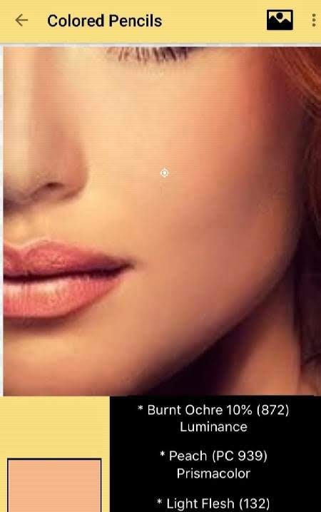 Color Picker for Artists screenshot 2