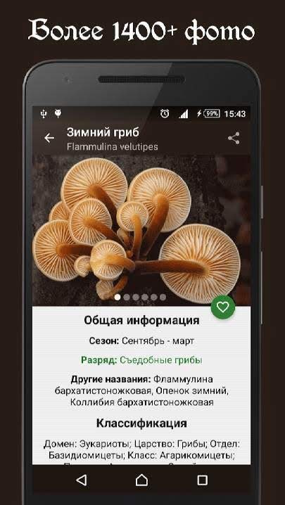 Book of Mushrooms PRO screenshot 1