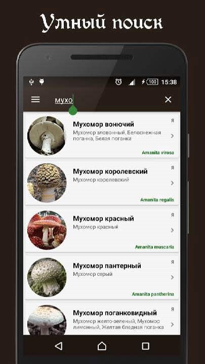 Book of Mushrooms PRO screenshot 2