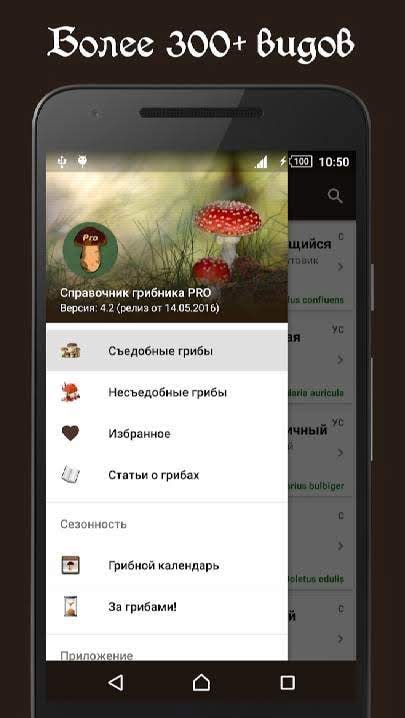 Book of Mushrooms PRO screenshot 4