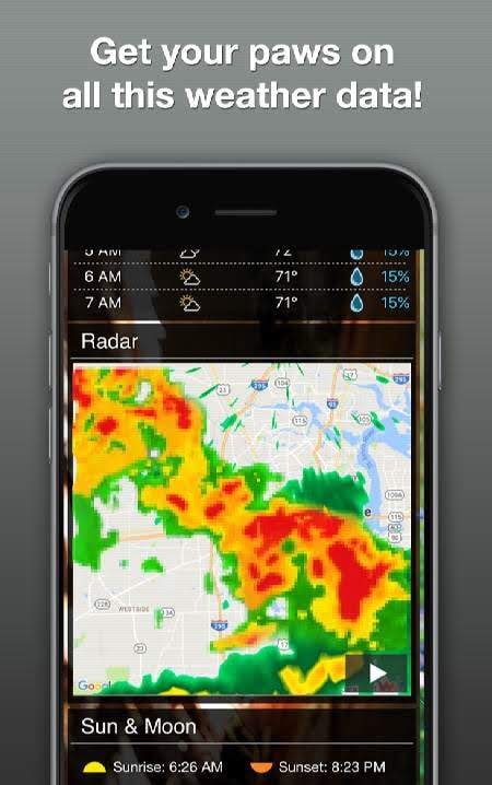 Weather Kitty - Forecast, Radar & Cat Pictures screenshot 4
