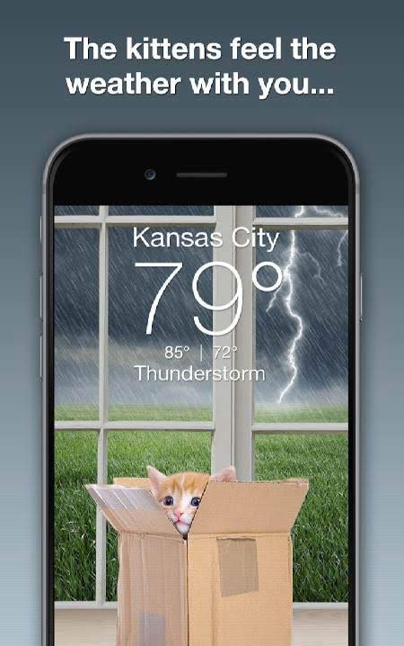 Weather Kitty - Forecast, Radar & Cat Pictures screenshot 2