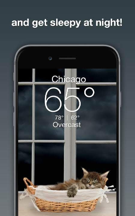Weather Kitty - Forecast, Radar & Cat Pictures screenshot 3