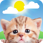 Weather Kitty - Forecast, Radar & Cat Pictures