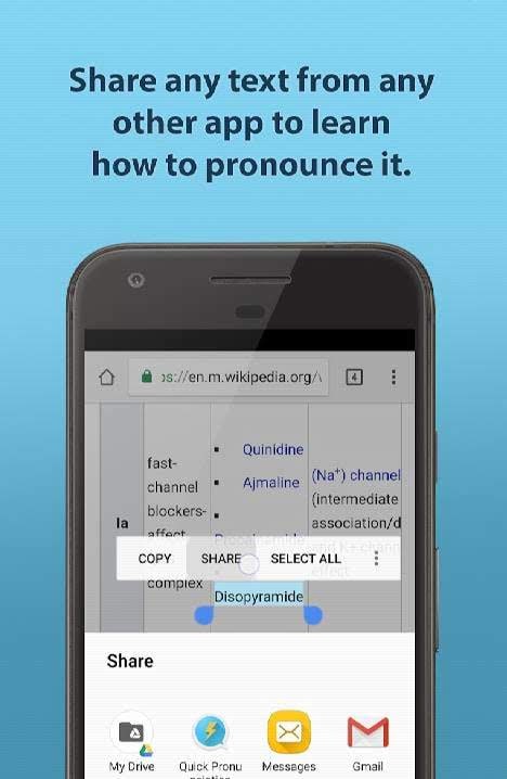 Quick Pronunciation Tool screenshot 3