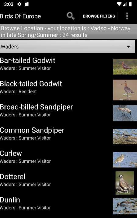 Birds Of Europe screenshot 4
