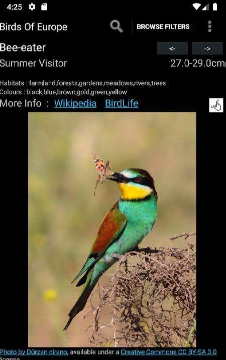 Birds Of Europe screenshot 3