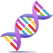 Genetic Helper