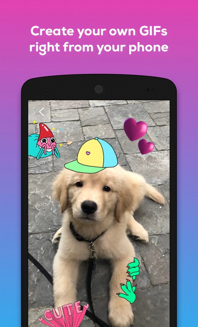 GIPHY - Animated GIFs Search Engine screenshot 4