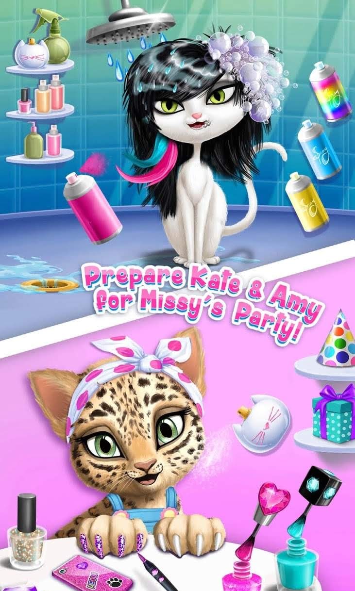 Cat Hair Salon Birthday Party - Virtual Kitty Care second preview