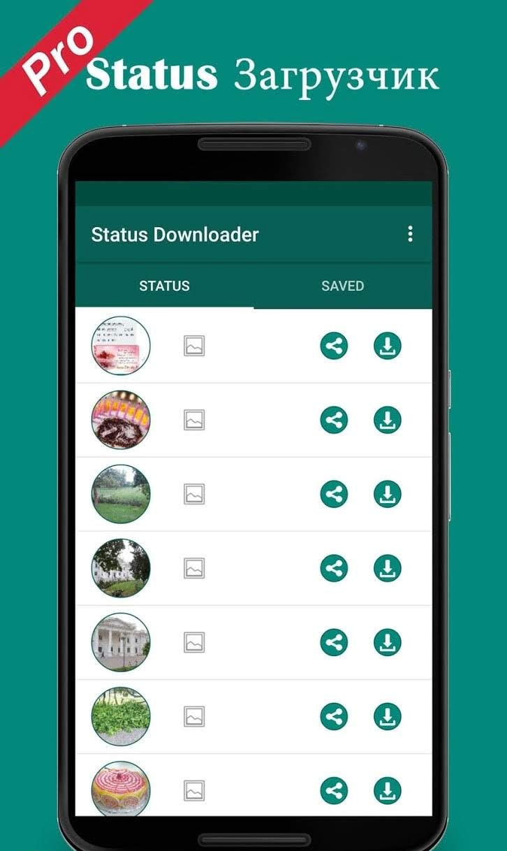 Pro Status Downloader Video Image status saver screenshot 3