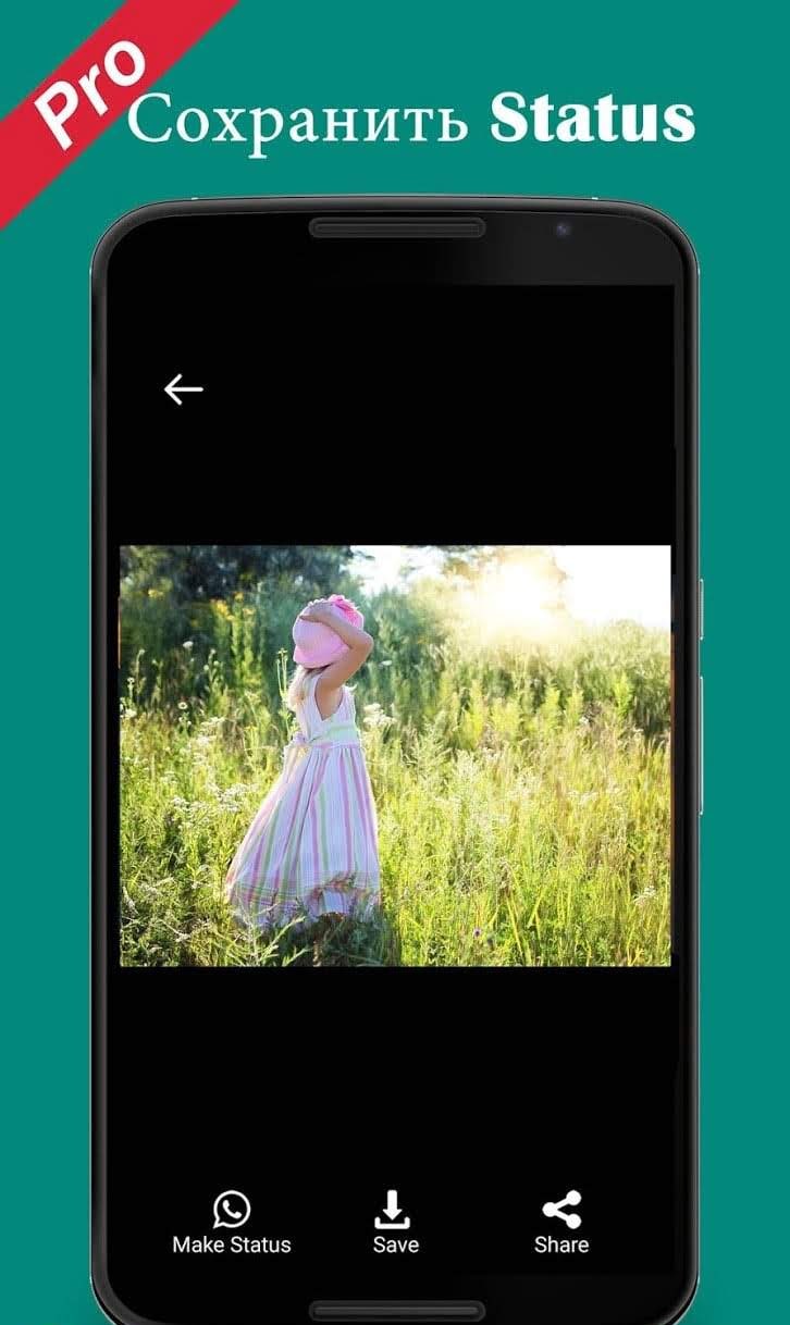 Pro Status Downloader Video Image status saver screenshot 4