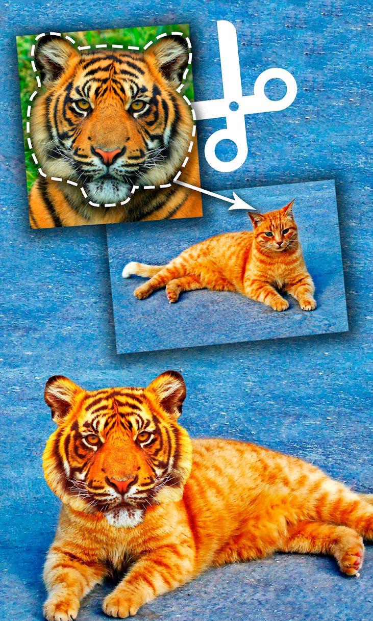 Cut Paste Photo Seamless Edit screenshot 3