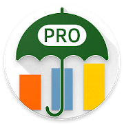 Budget Blitz Pro - money tracking and planning