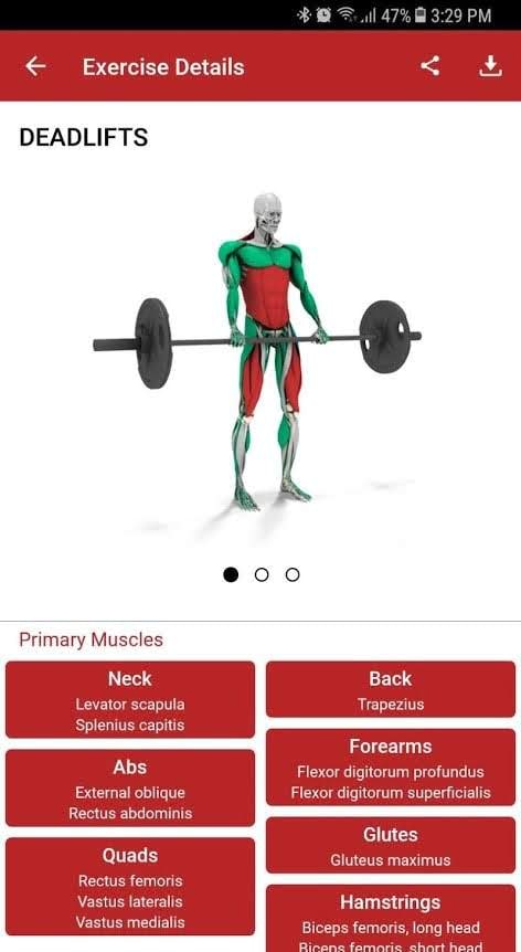 MuscleMatics screenshot 4