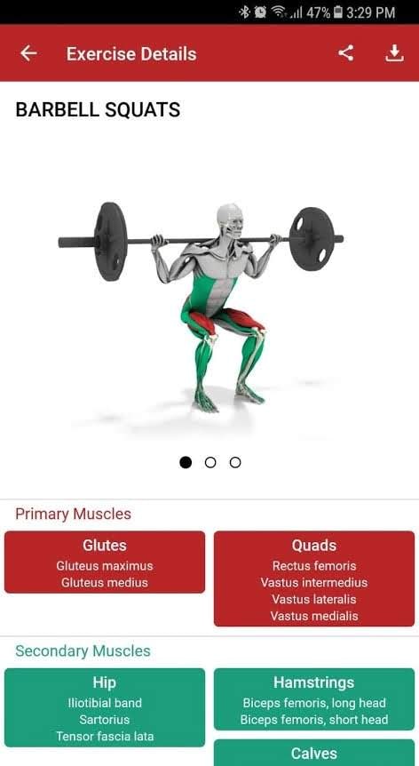 MuscleMatics screenshot 3