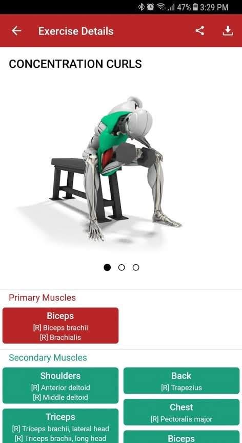 MuscleMatics screenshot 2