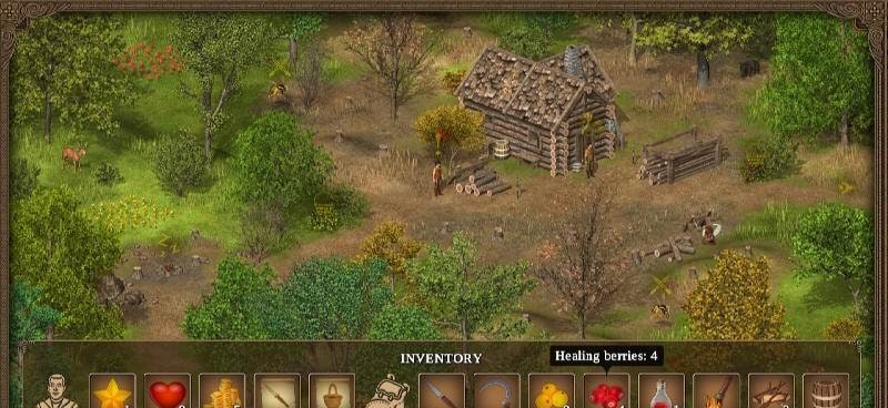 Hero of the Kingdom Tales 1 gameplay screenshot 4