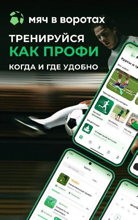 Ball in Goal screenshot 1
