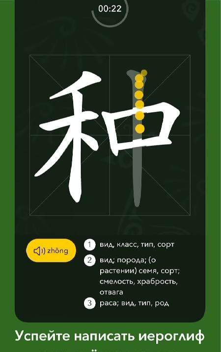 Chinese Writer screenshot 2