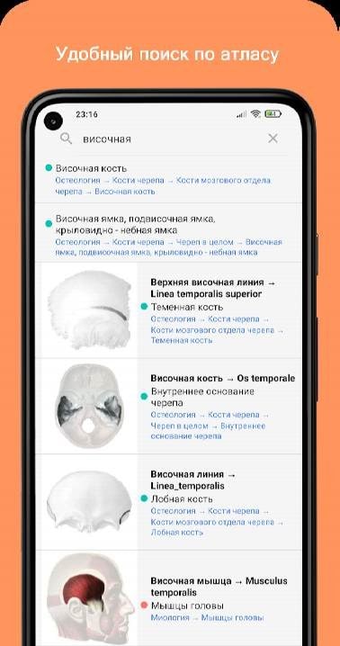 Teach Anat Screenshot 2