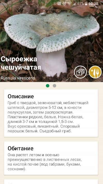 Mushrooms app screenshot 2
