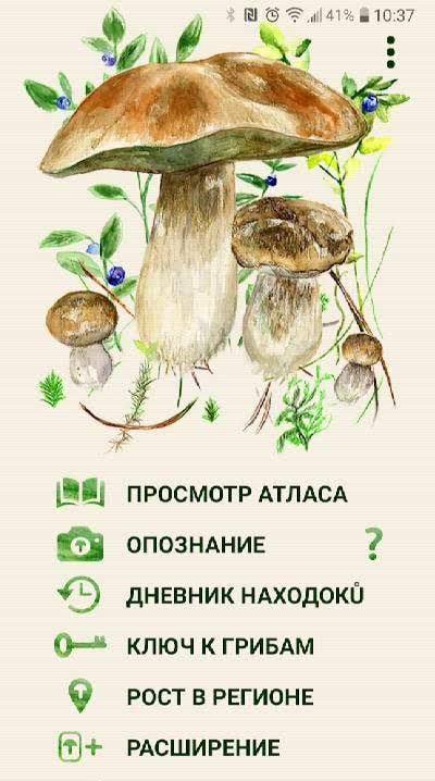 Mushrooms app screenshot 1