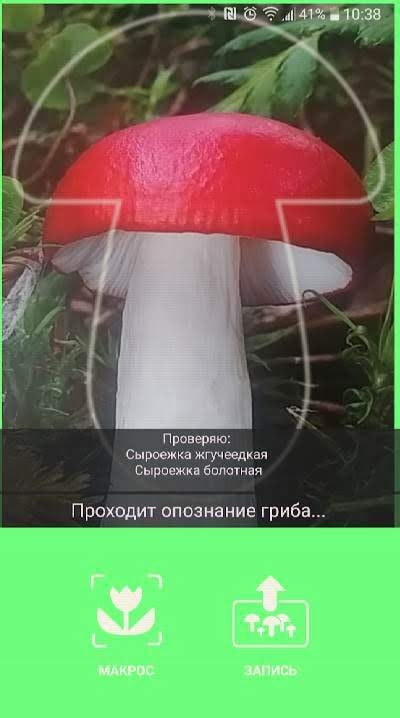 Mushrooms app screenshot 3