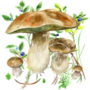 Mushrooms app