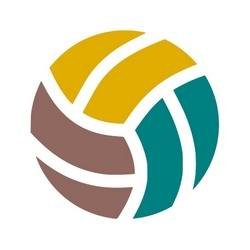 Volleyball Coach