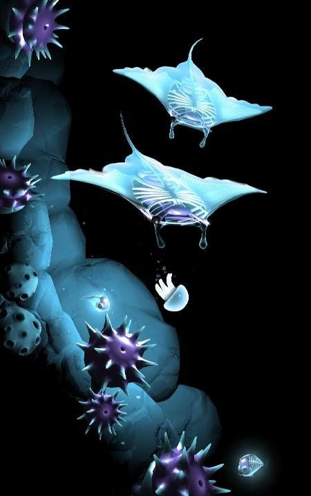 Seashine screenshot 2