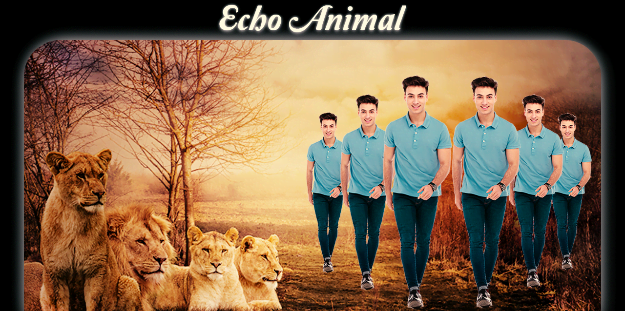 Echo Animal screenshot 2