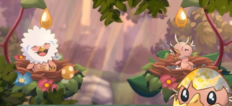 Bird Kind Screenshot 3