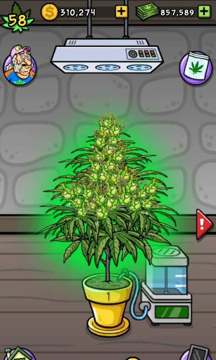 Bud Farm Grass Roots screenshot 3
